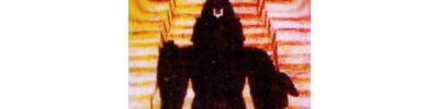 48. திருப்பாடகம் (பாண்டவ தூதர் கோயில்)